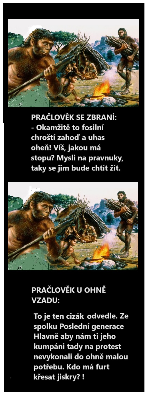 koláž: dv